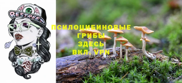 мдпв Белоозёрский