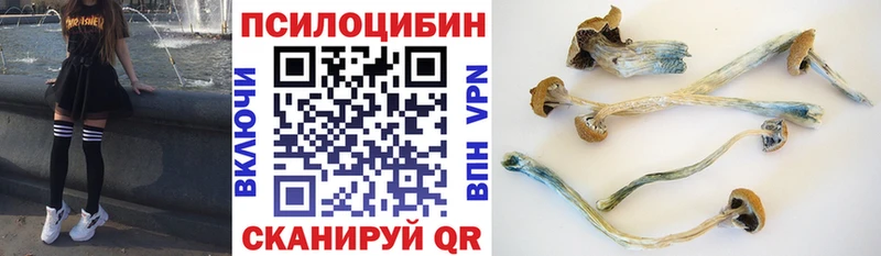 Купить где  Славгород  Псилоцибиновые грибы прущие грибы 